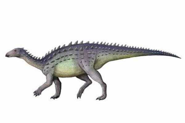辽宁龙-中国超小型甲龙类恐龙(化石仅长34厘米)