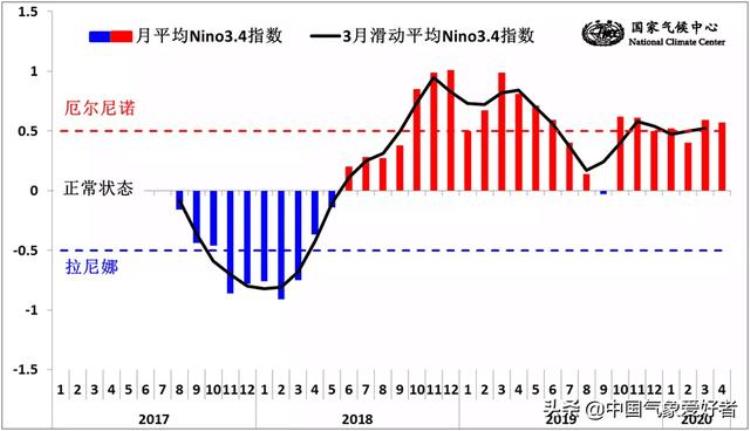 重庆千年神龟奇石真相,50年的老龟突然死亡