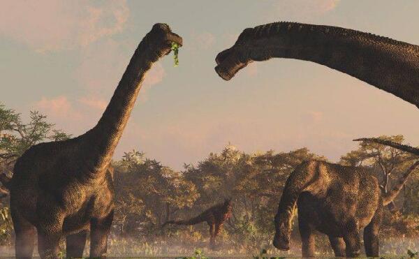 南极龙：阿根廷超巨型恐龙（长30米-脖子长度可达14米）