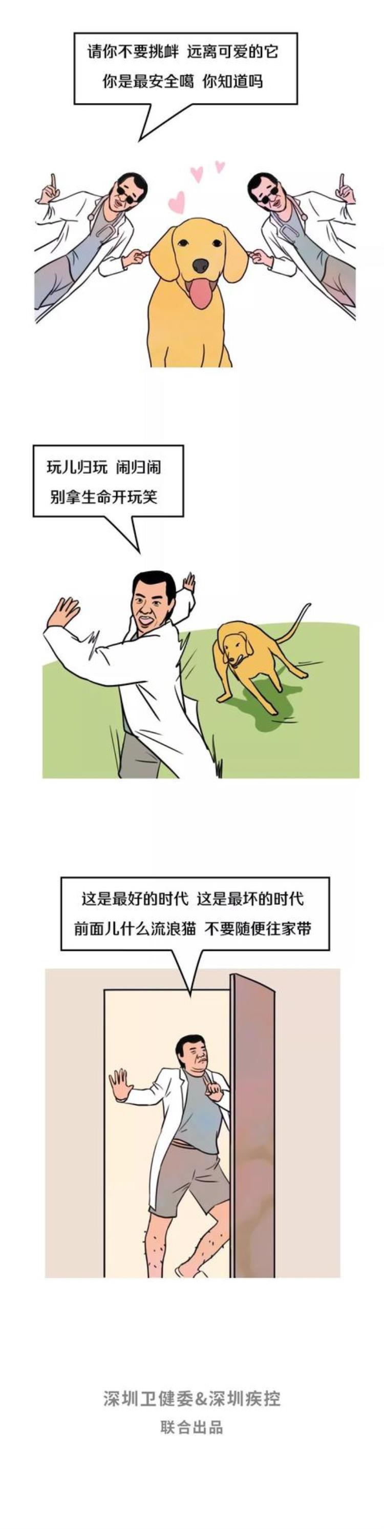 脚上有伤踩到了狗屎要不要打狂犬疫苗