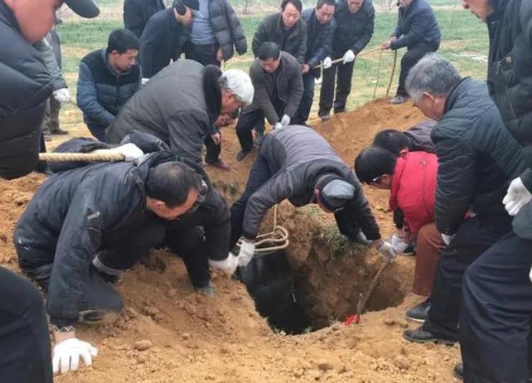 北大教授吴飞建议恢复土葬,取消火葬恢复土葬让民俗文化延续