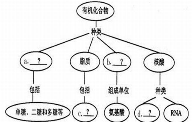 有机无机之间有区别吗？有机无机具体区别在哪里