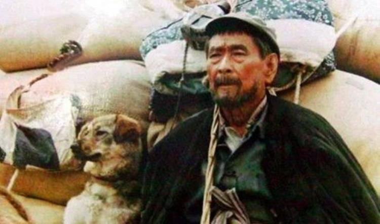 1993年电影老人与狗上映后为何狗和它的主人双双死亡,一只狗为了主人而死的电影