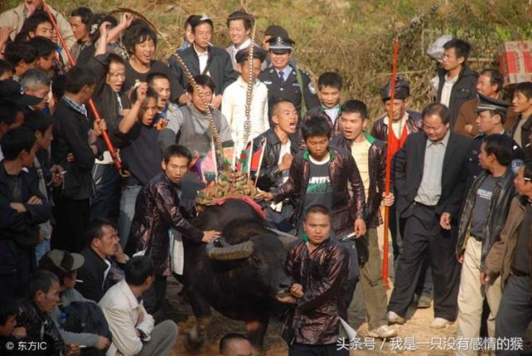 民间故事童子命,生辰八字看真假童子