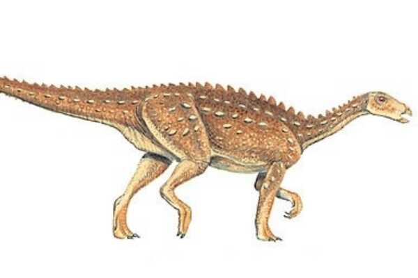 辽宁龙-中国超小型甲龙类恐龙(化石仅长34厘米)