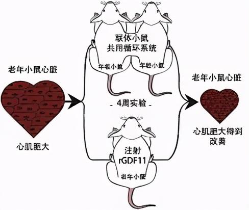 天下奇闻怀孕的男人,有关两性的奇闻异事