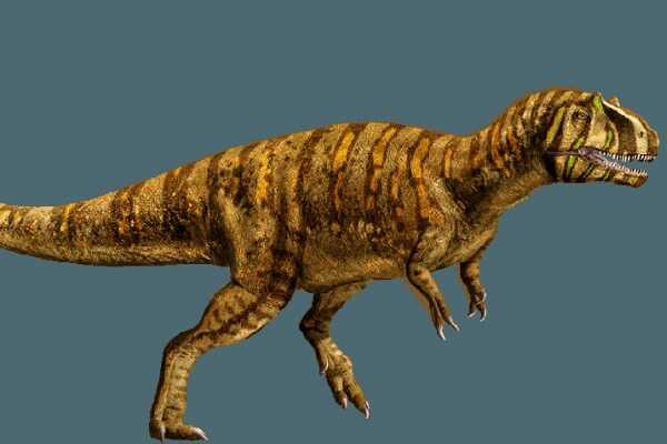 中棘龙-欧洲大型肉食恐龙(长8米-有25厘米长小棘突)