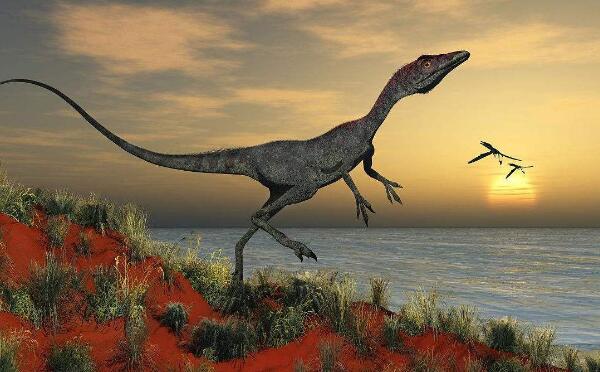 原美颌龙：德国小型食肉恐龙（长1.2米-距今2.19亿年前）
