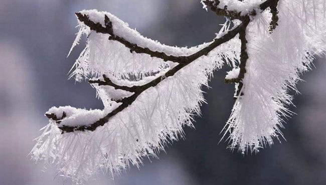 立冬是什么意思-立冬有哪些风俗习惯（迎冬、祭冬神）
