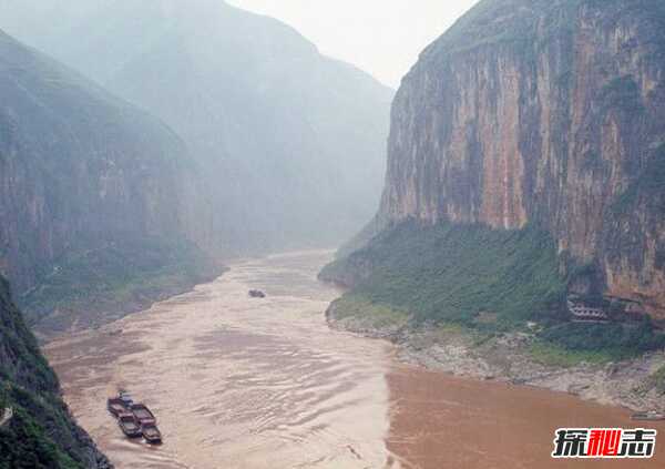 三峡中猿鸣的作用?揭三峡猿啼之谜