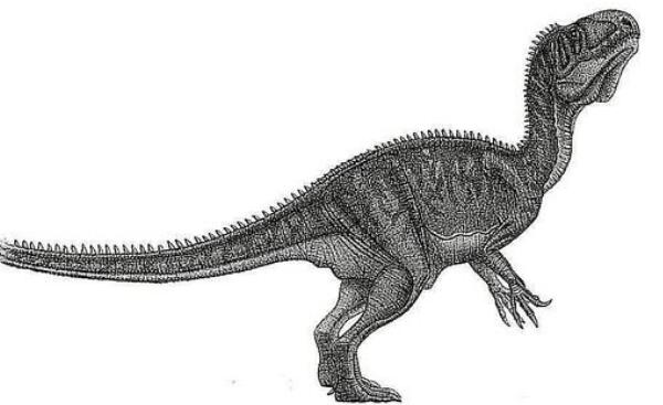 杂肋龙：法国大型食肉恐龙（长8米-距今1.63亿年前）