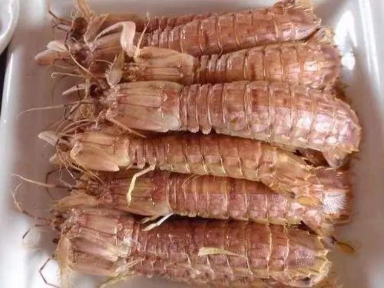 为什么泰国的皮皮虾那么大「同为皮皮虾为啥我国的那么小而泰国的那么大真相在这里」