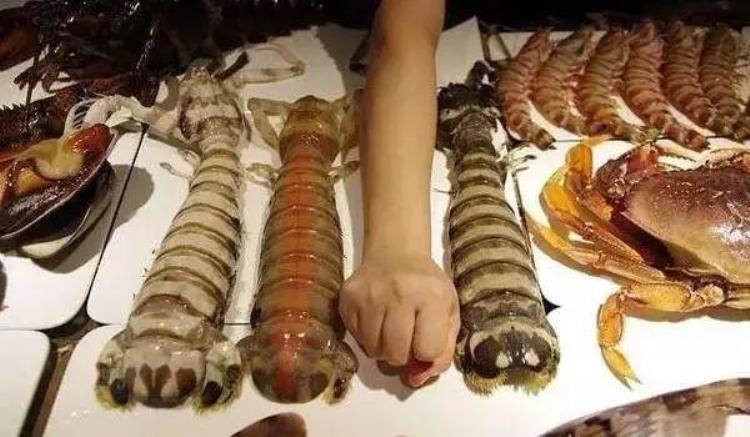 为什么泰国的皮皮虾那么大「同为皮皮虾为啥我国的那么小而泰国的那么大真相在这里」