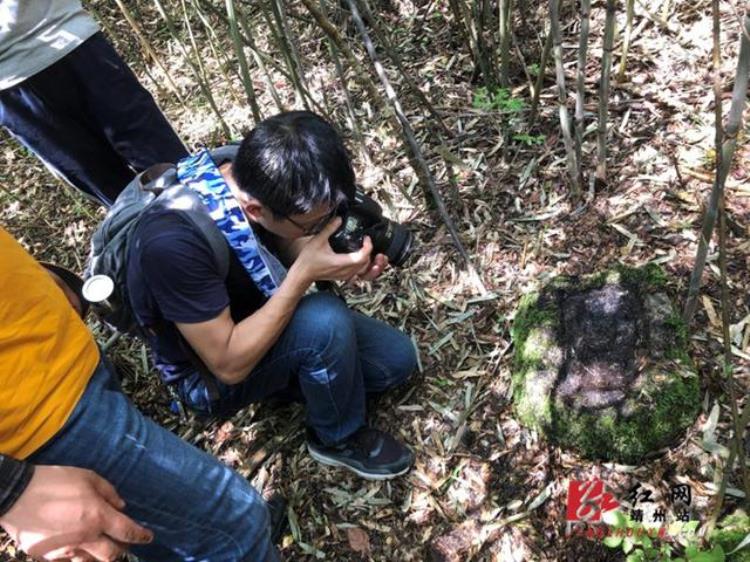 靖州高桥村「靖州三桥村惊现疑似秦镡成之岭古城墙系列遗址」