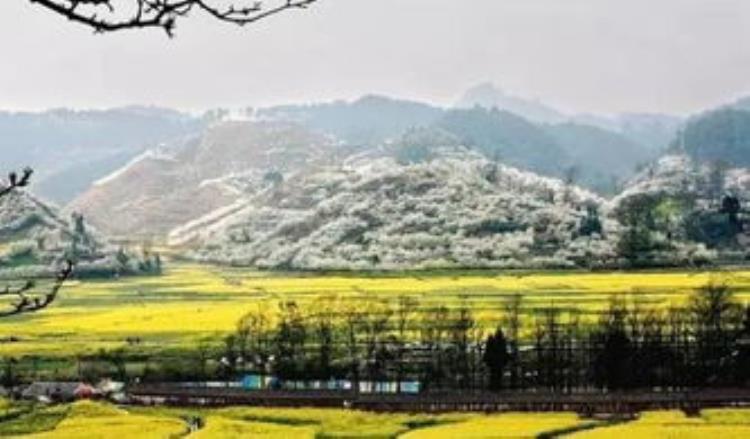 老鸦山彩林冷门秘境在哪,四川乐山彩林秘境