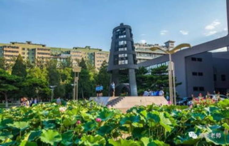 北京师范大学713历史学综合真题,北京师范大学历史考研是统考吗