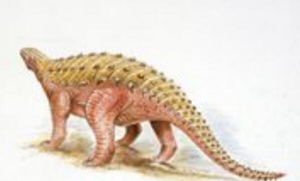 棘椎龙：非洲小型食肉恐龙（长3米-1亿年前的早白垩世）