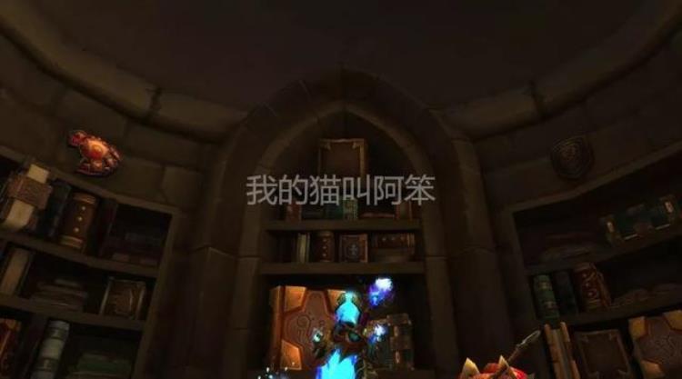 魔兽世界圣骑士职业大厅墙上的武器和盾牌作为大领主你认识多少