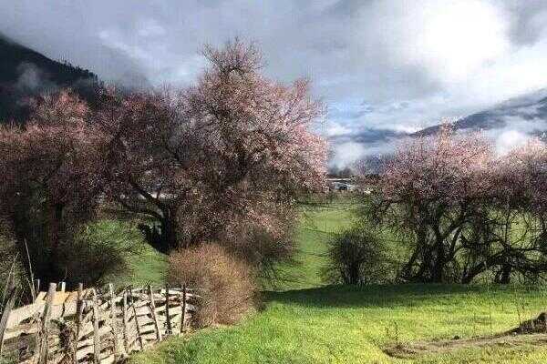 西藏最好玩的地方在哪(西藏最好玩的地方在哪里呀)