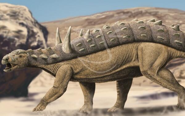 棘椎龙：非洲小型食肉恐龙（长3米-1亿年前的早白垩世）