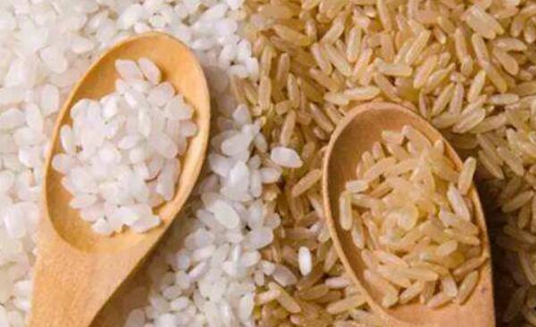 糙米和大米的区别，糙米再加工后成大米（大米更好吃）