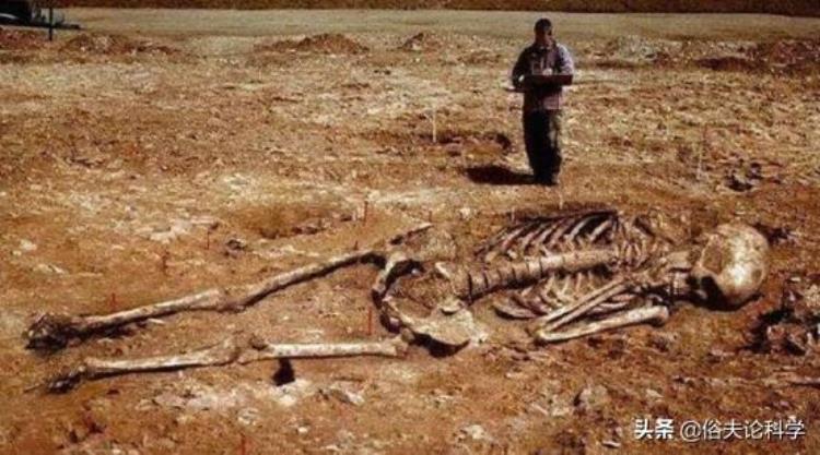 考古发现巨人是真是假,考古发掘巨人头骨化石