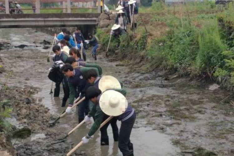 1982年江苏农民一铁锹挖出18斤重金豹子金兽最终何去何从