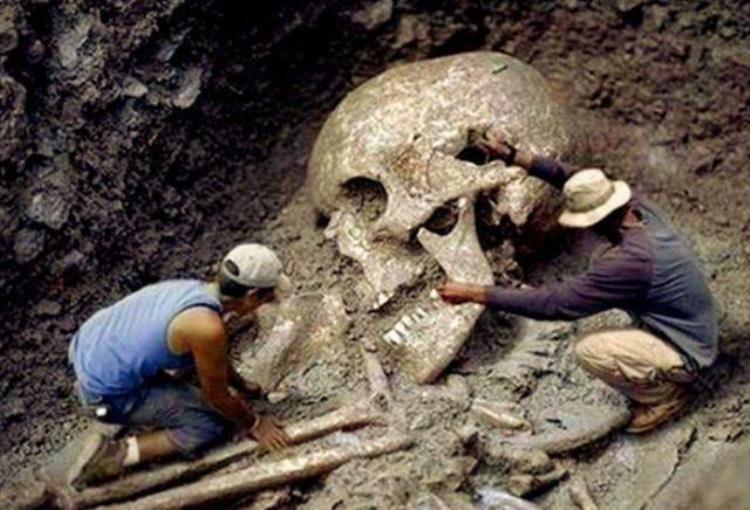 史前巨人遗骸出土这是一则重磅谣言吗,5000年前巨人尸骨