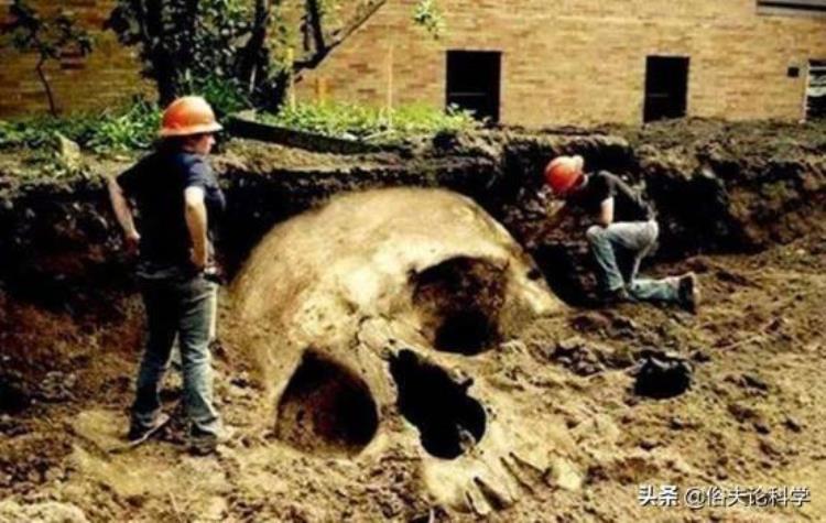 考古发现巨人是真是假,考古发掘巨人头骨化石