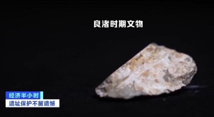 5000年前大型宫殿面世黄土高原发现百万粒水稻遗存这里或存在史前古国