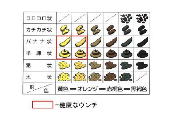 金粒餐真的还是假的-少女粪便制成的菜肴(源自04年谣言)