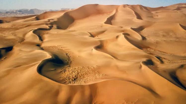 戈壁滩死亡蠕虫,沙漠中真的有死亡蠕虫吗