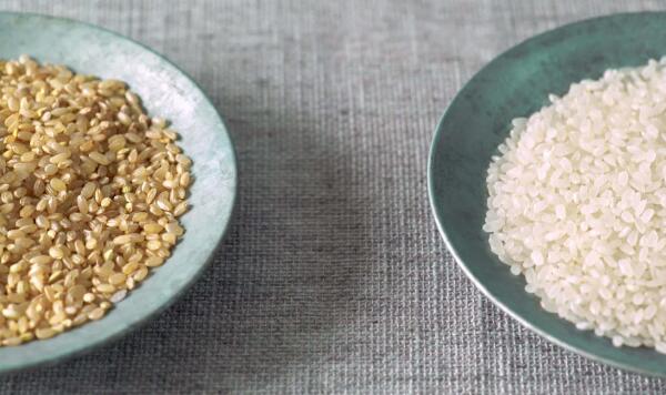 糙米和大米的区别，糙米再加工后成大米（大米更好吃）
