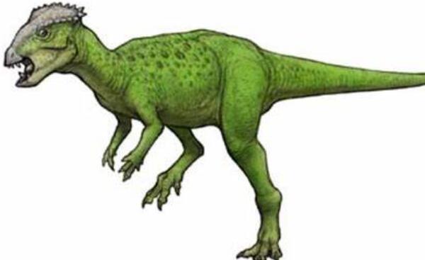 皖南龙：中国小型杂食性恐龙（长0.6米-距今7300万年前）