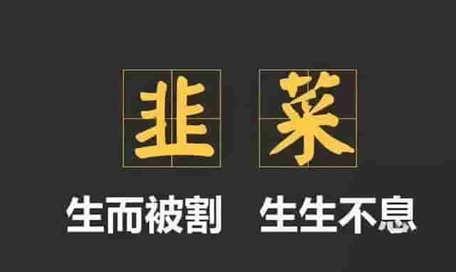 曾经两次被割45万，如今合约交易盈利翻了30倍 一名老韭菜的成长史