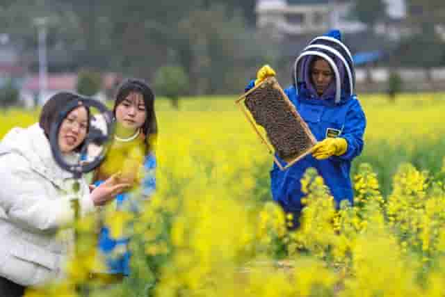 规范直播购物行业乱象，可细化《广告法》规定执行落地