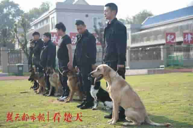 为什么警犬都身怀绝技？这个神秘警犬基地曝光，看完惊呆了