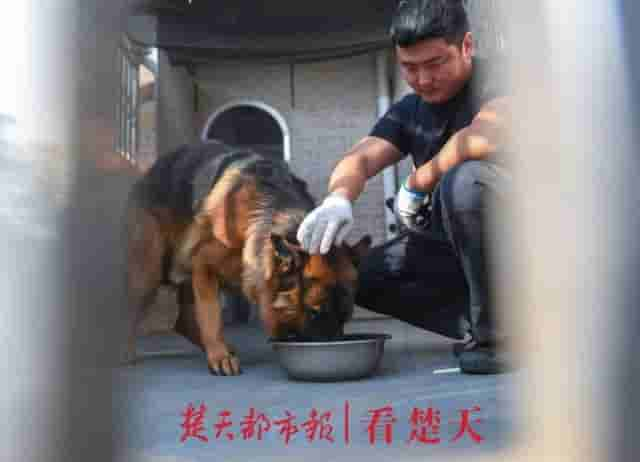 为什么警犬都身怀绝技？这个神秘警犬基地曝光，看完惊呆了