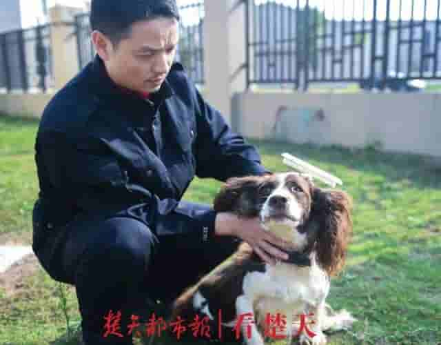 为什么警犬都身怀绝技？这个神秘警犬基地曝光，看完惊呆了