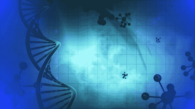 斯坦福学者开发生物医学新工具，破解基因组三维结构百年科学难题