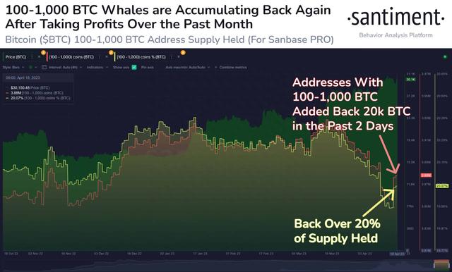 比特币（BTC）价格回到30，000美元以上，虾和鲸鱼大量积累