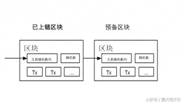 比特币网络是如何运作的？